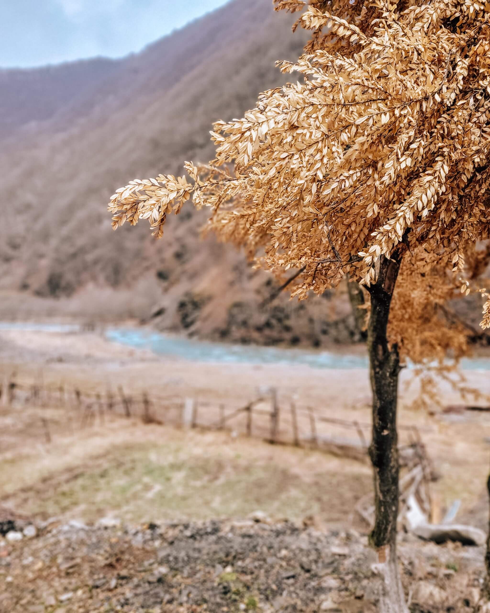 Spring Water Nadibani