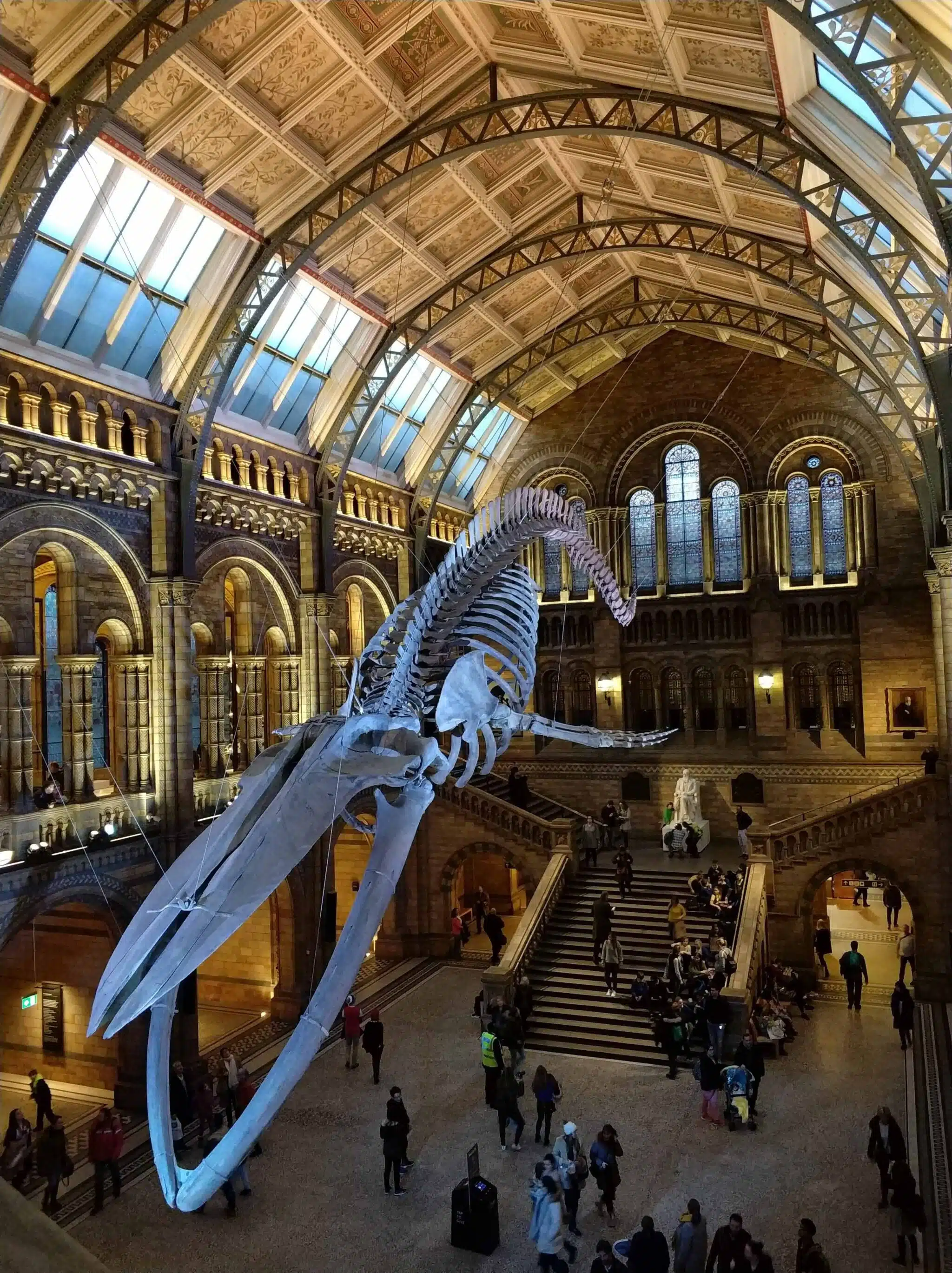 Natural History Museum